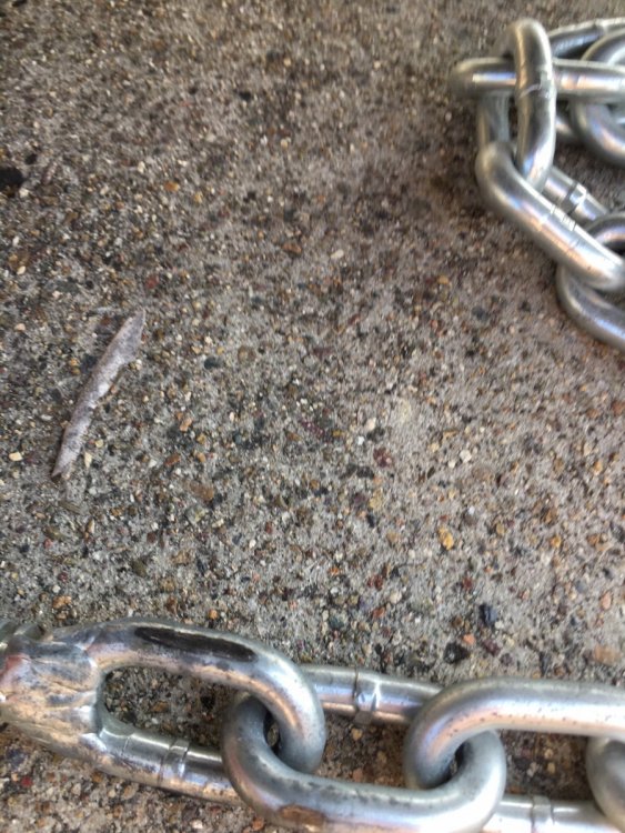 1686584321_ChainRubbing7.thumb.JPG.c147687b16029963ed4303419fae246d.JPG
