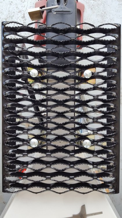 OTT tongue mounted step (1).jpg