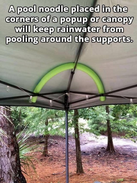 Pool Noodle Awning support.jpg