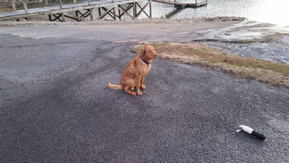 20160112_170554 (2).jpg