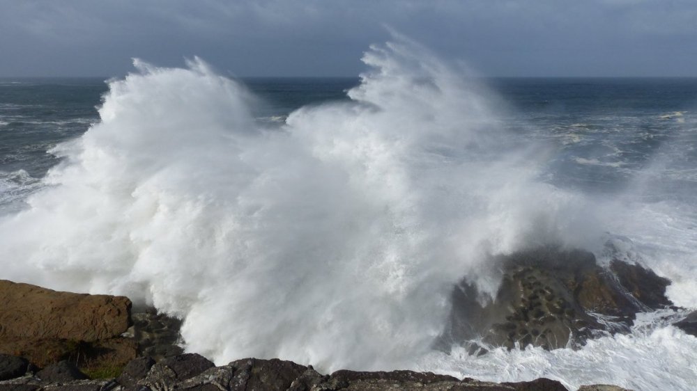 Shore Acres Surf 1.jpg