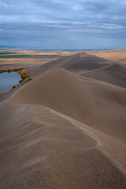 Bruneau Dunes Spine-.jpg
