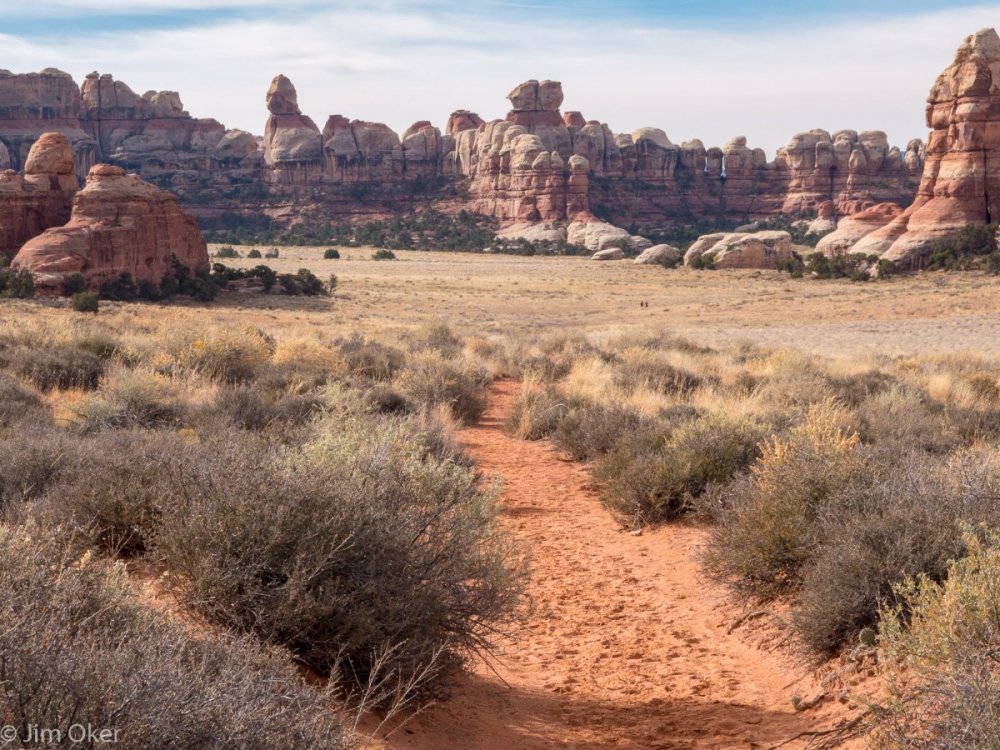 Needles Chesler (1 of 1).jpg