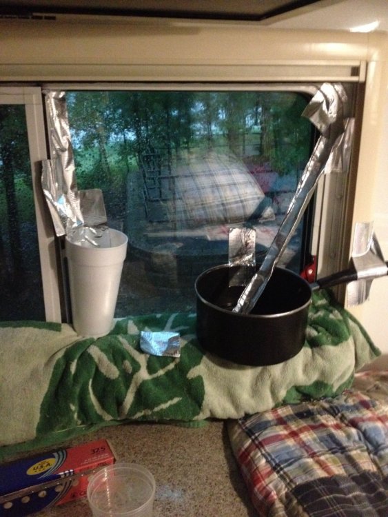 Tali-000 - Img_1668.jpg