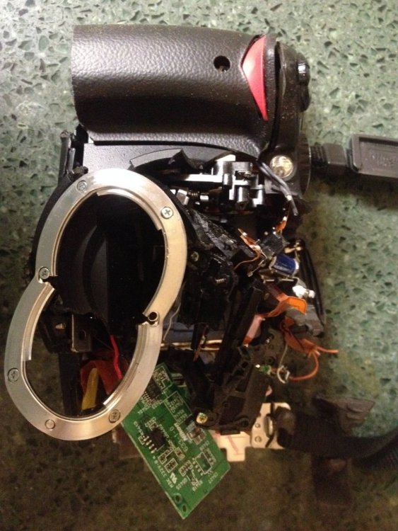 Tali-000 - Img_1272.jpg