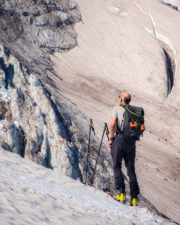 Lofty and Cow (1 of 1) (002).jpg