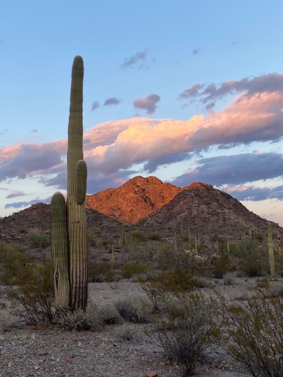 2021-03-13 18.30.15 copy.jpg