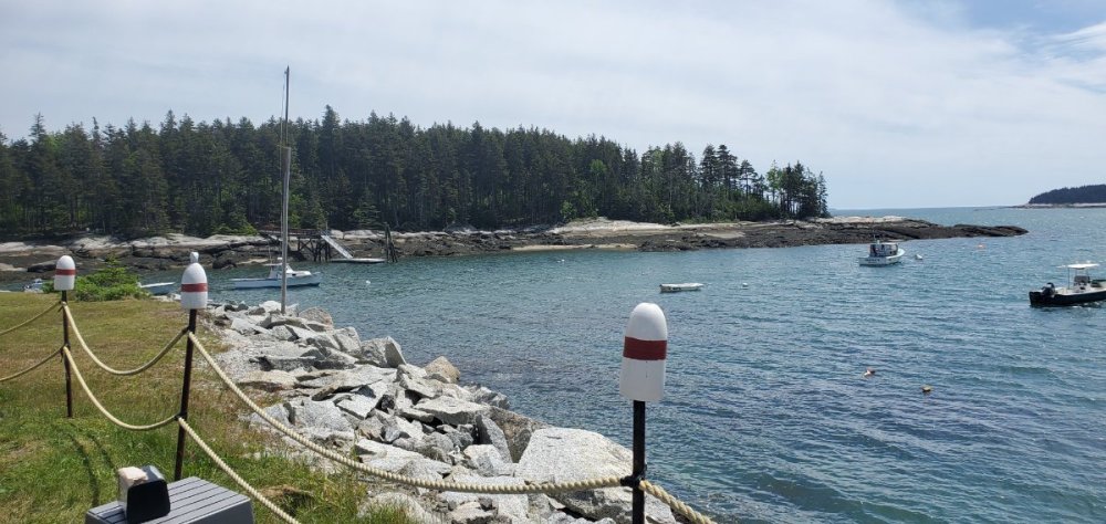 McLoom's Lobster Shack Cove.jpg