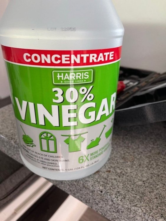 vinegar1 (2).jpg