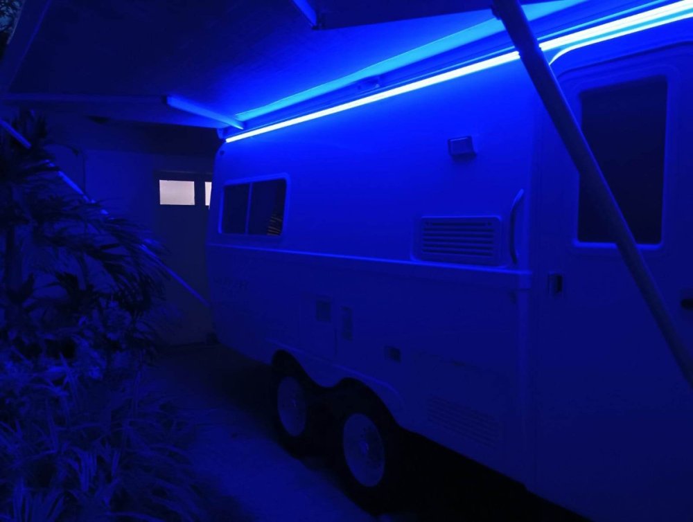 Blue LED.jpg