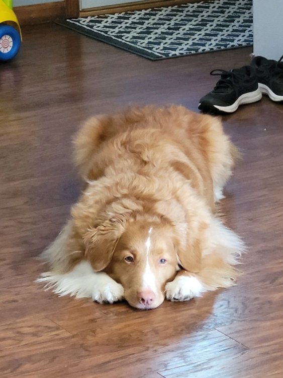 Bob on the Floor.jpg