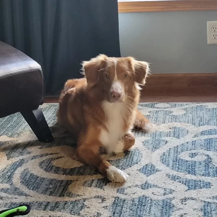 Cash on the Floor.jpg