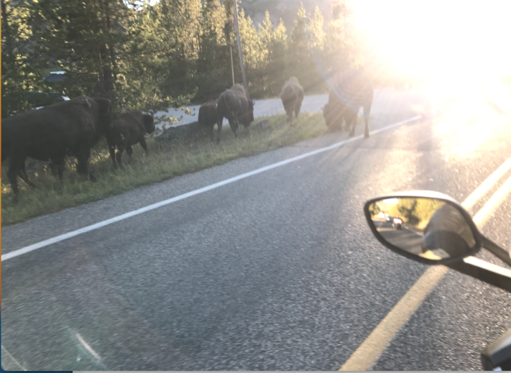 Screenshot 2023-11-04 at 08.01.38.png