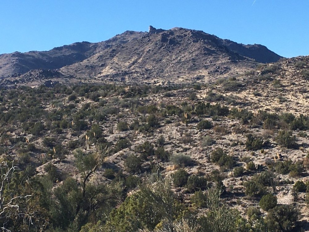 Chicken Springs 4 miles up looking west.jpg