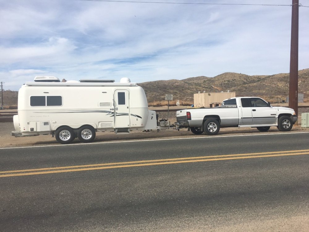 Ollie at Kirkland.jpg