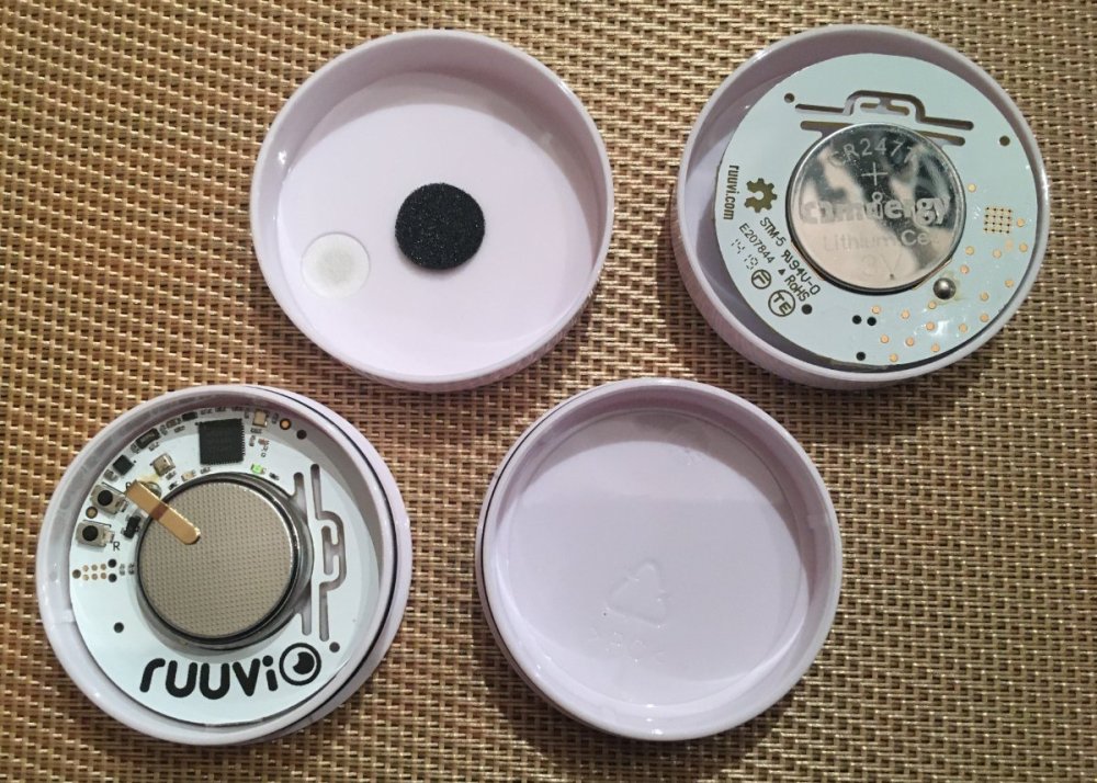 Ruuvi Internals.jpg