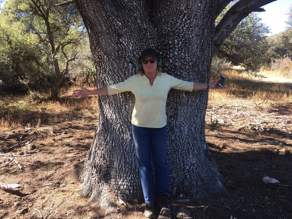 Chris and Big Alligator Juniper.jpg
