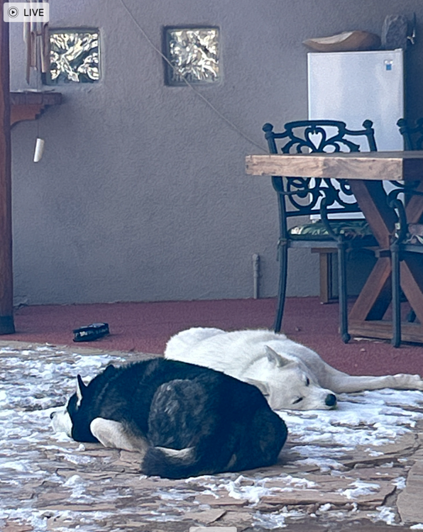 Screenshot 2025-01-06 at 16.32.24.png