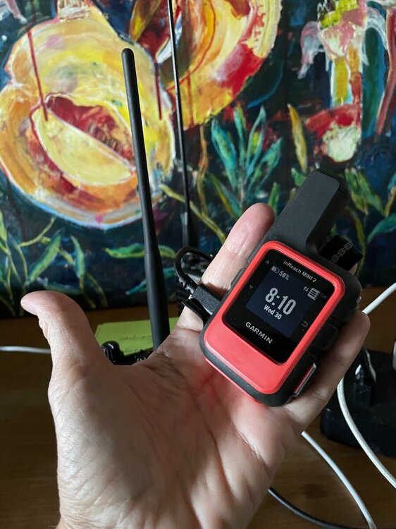 Garmin_Mini2.jpg