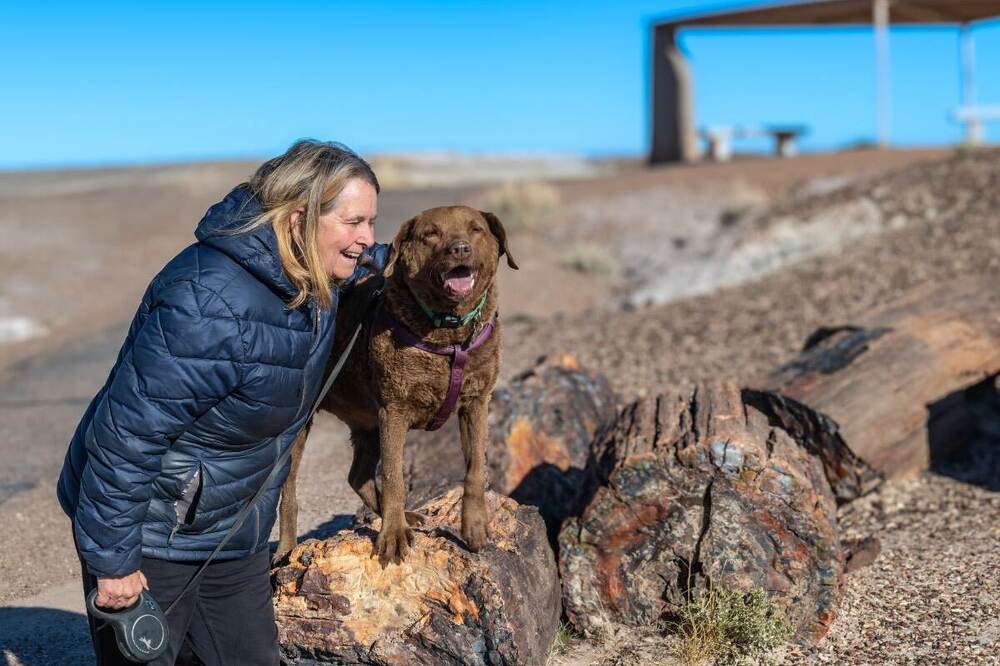 peterified Pup - TD.jpg