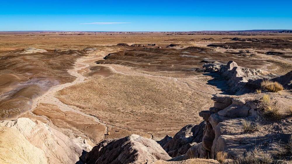 peterified moom scape.jpg