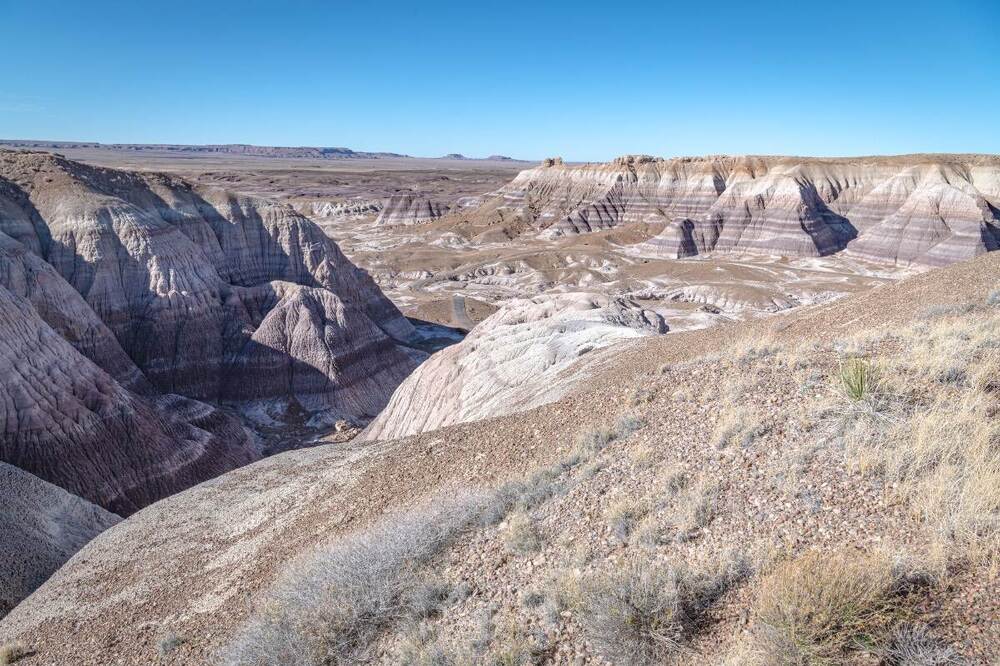 peterified moom scape valley .jpg